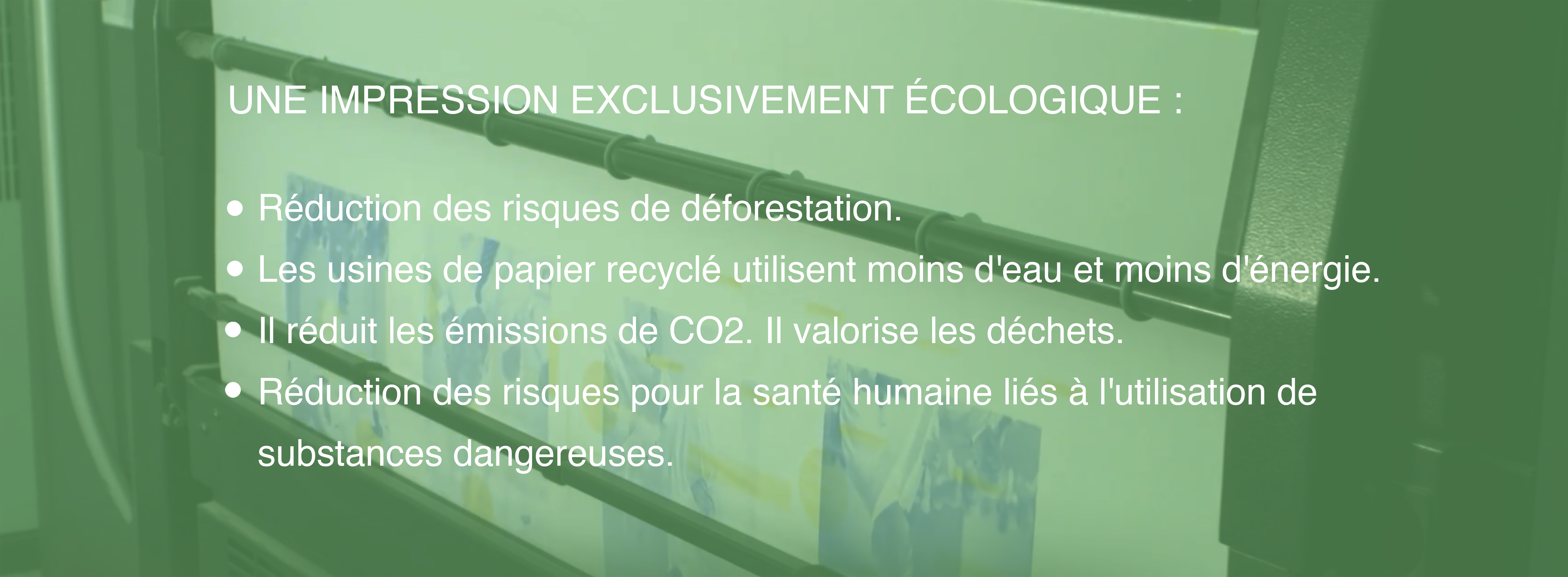 pavot studio écologique eco friendly