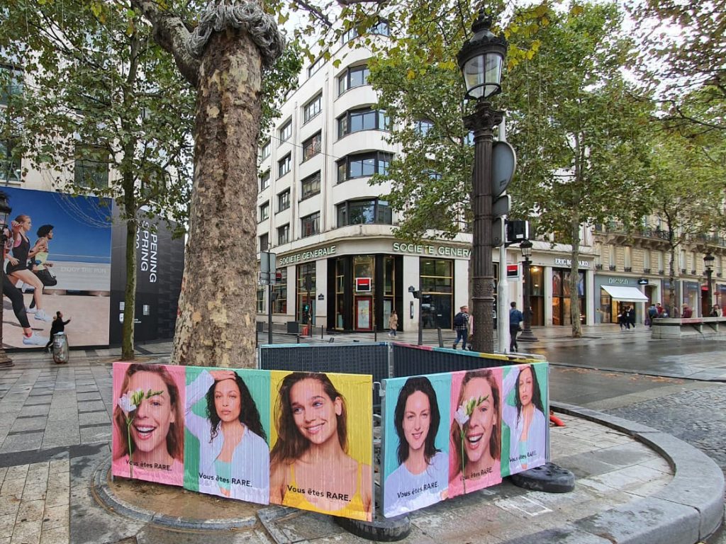 pavot studio street marketing